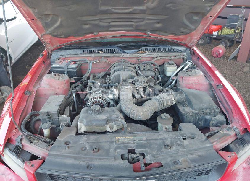 Photo 10 of 2007 Ford Mustang V6 DELUXE/V6 PREMIUM (VIN 1ZVFT80NX75354713)