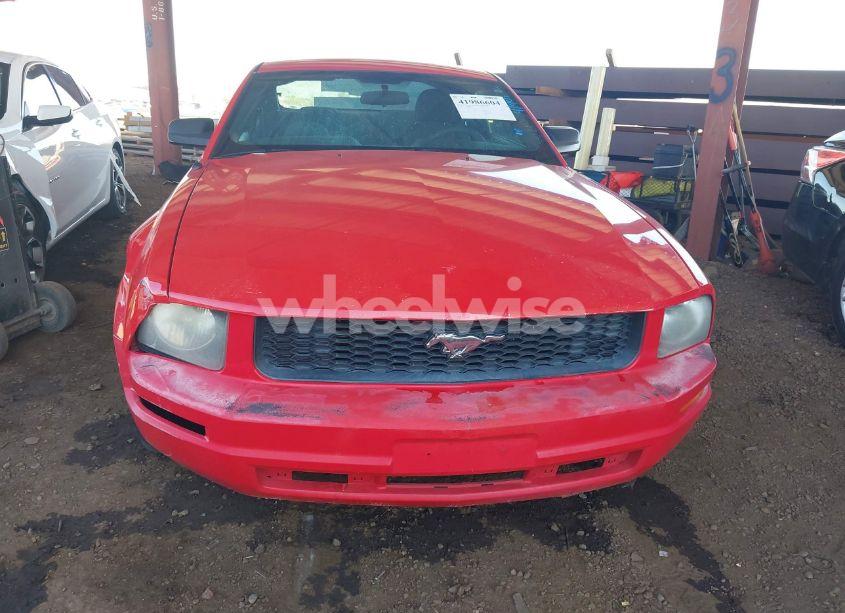 Photo 13 of 2007 Ford Mustang V6 DELUXE/V6 PREMIUM (VIN 1ZVFT80NX75354713)