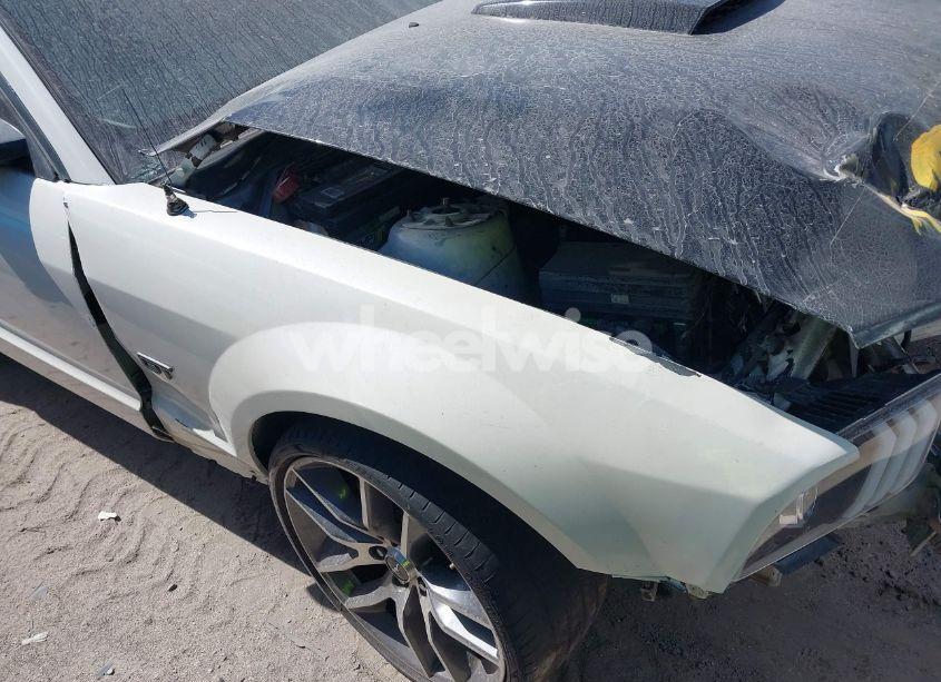 Photo 17 of 2005 Ford Mustang GT DELUXE/GT PREMIUM (VIN 1ZVFT82H055210222)