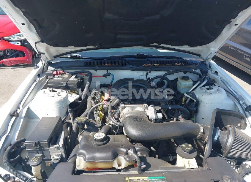 Photo 10 of 2005 Ford Mustang GT DELUXE/GT PREMIUM (VIN 1ZVFT82H155226414)