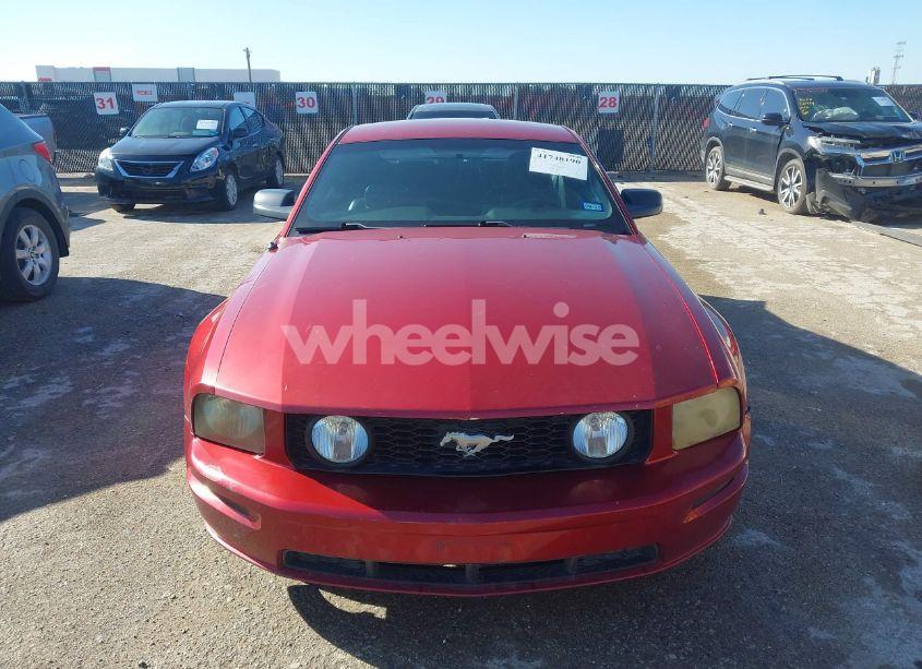 Photo 12 of 2006 Ford Mustang GT (VIN 1ZVFT82H165172808)