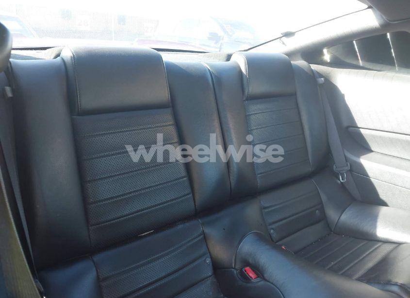 Photo 8 of 2006 Ford Mustang GT (VIN 1ZVFT82H165172808)