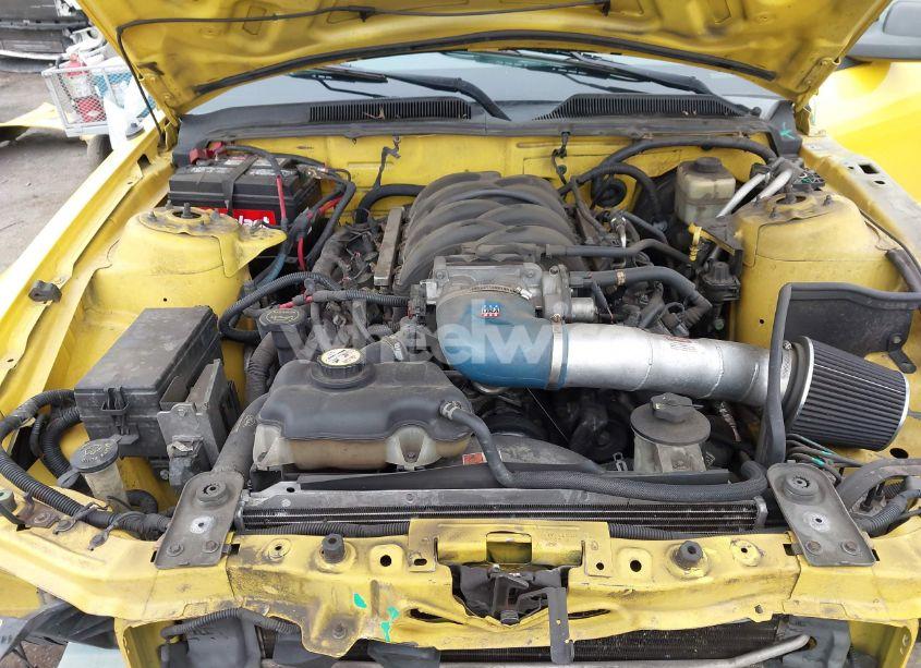 Photo 10 of 2006 Ford Mustang GT (VIN 1ZVFT82H165206827)