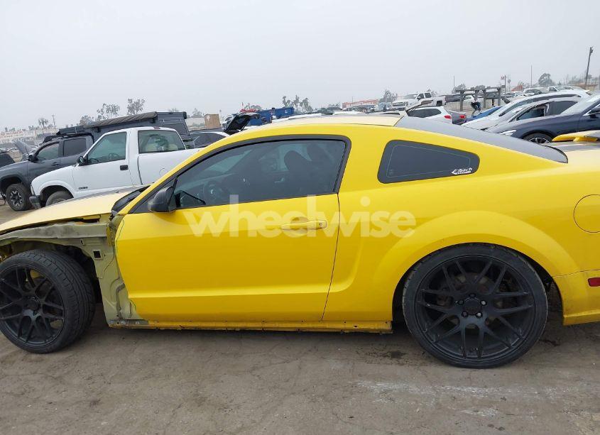 Photo 15 of 2006 Ford Mustang GT (VIN 1ZVFT82H165206827)