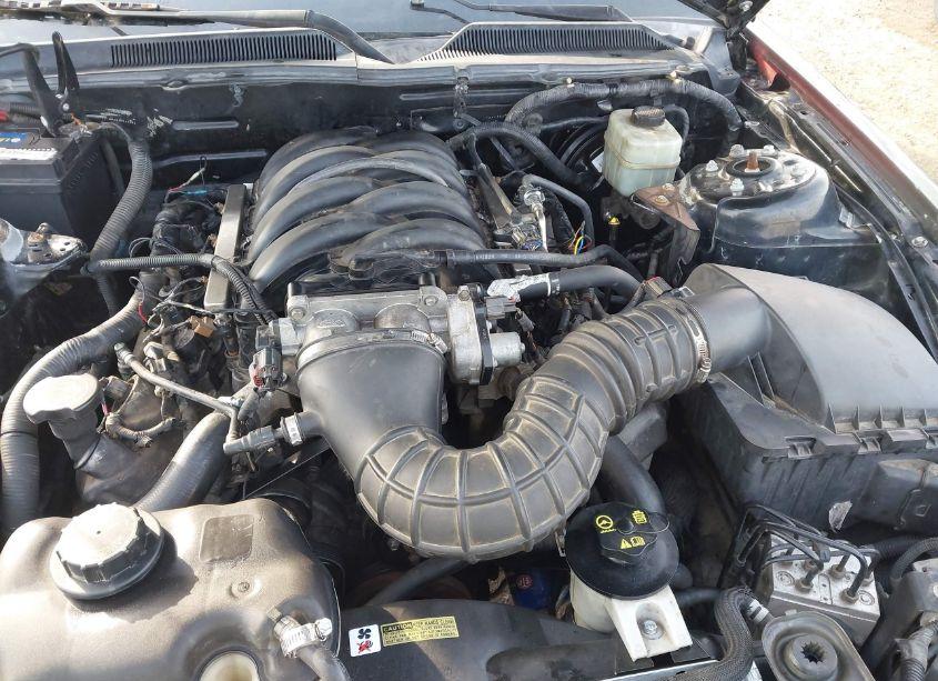 Photo 10 of 2006 Ford Mustang GT (VIN 1ZVFT82H165240282)