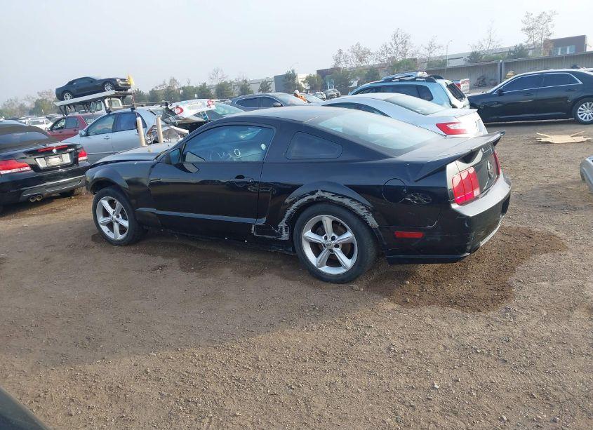 Photo 14 of 2006 Ford Mustang GT (VIN 1ZVFT82H165240282)