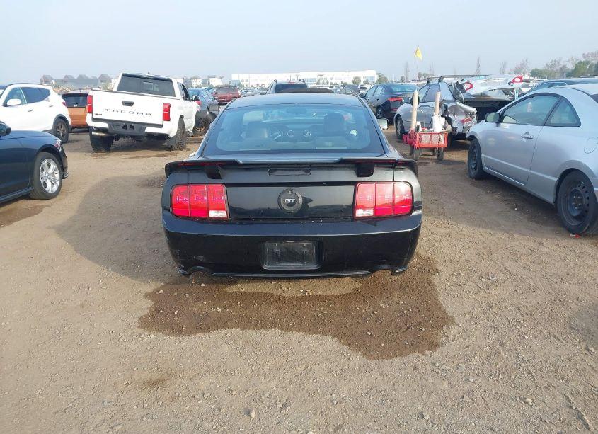Photo 16 of 2006 Ford Mustang GT (VIN 1ZVFT82H165240282)