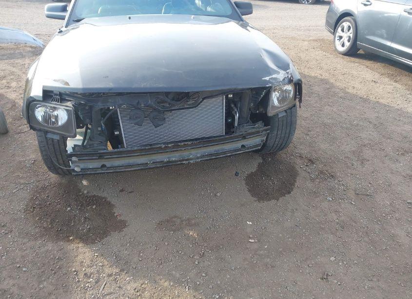 Photo 6 of 2006 Ford Mustang GT (VIN 1ZVFT82H165240282)