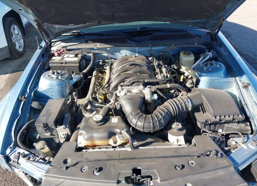 Photo 10 of 2006 Ford Mustang GT (VIN 1ZVFT82H165247118)