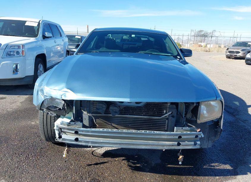 Photo 12 of 2006 Ford Mustang GT (VIN 1ZVFT82H165247118)