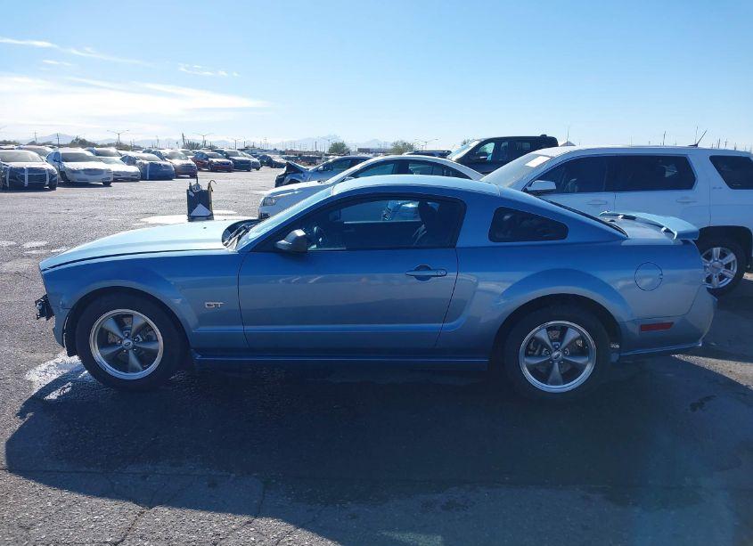 Photo 14 of 2006 Ford Mustang GT (VIN 1ZVFT82H165247118)