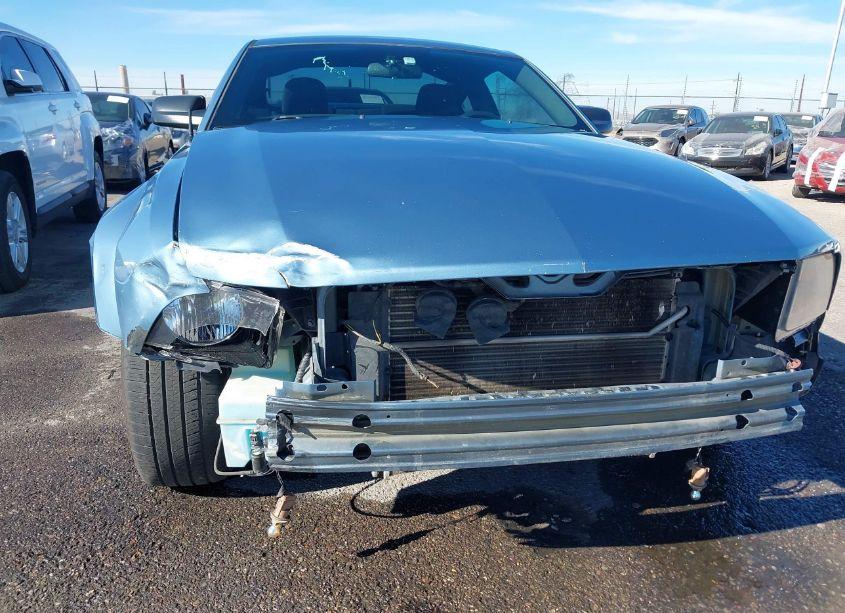 Photo 6 of 2006 Ford Mustang GT (VIN 1ZVFT82H165247118)