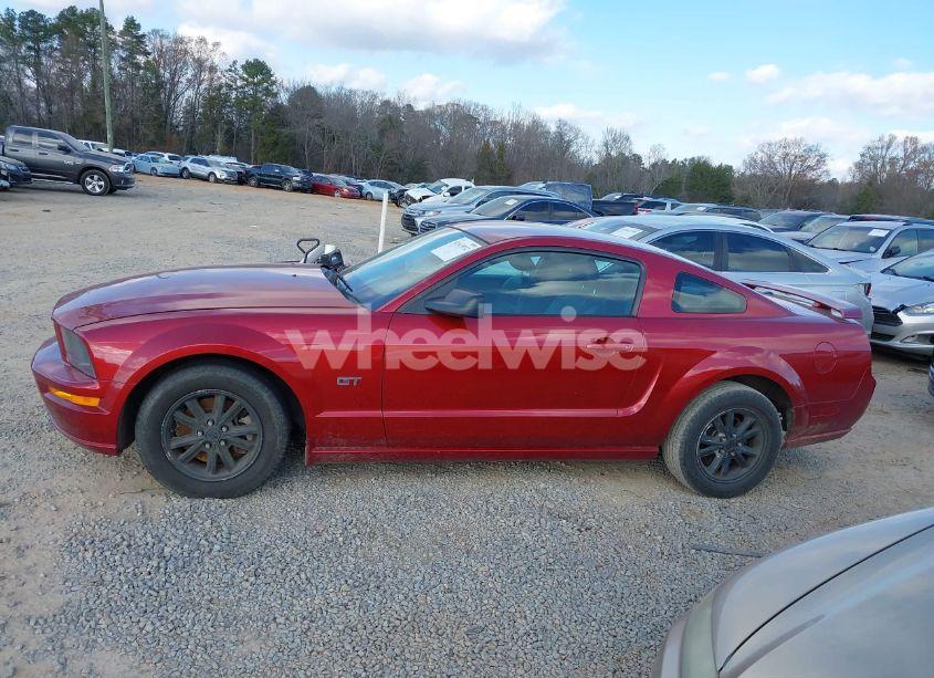 Photo 14 of 2007 Ford Mustang GT DELUXE/GT PREMIUM (VIN 1ZVFT82H175287958)