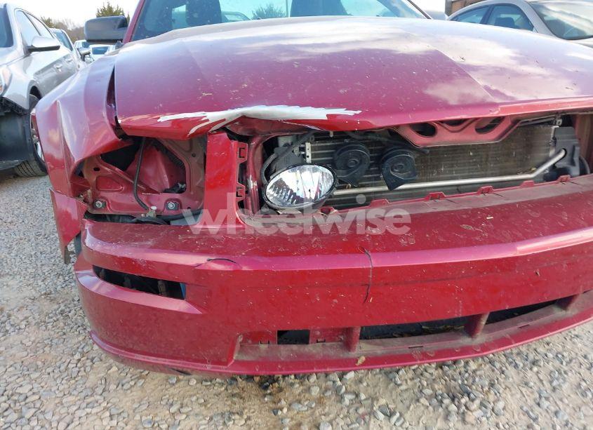 Photo 17 of 2007 Ford Mustang GT DELUXE/GT PREMIUM (VIN 1ZVFT82H175287958)