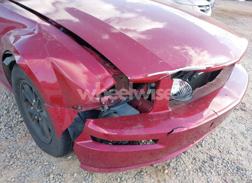 Photo 6 of 2007 Ford Mustang GT DELUXE/GT PREMIUM (VIN 1ZVFT82H175287958)