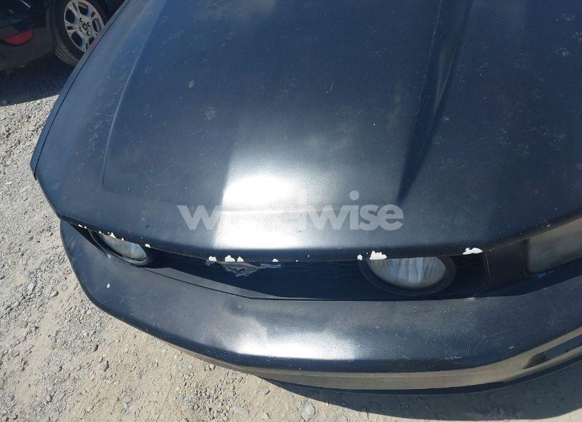 Photo 16 of 2005 Ford Mustang GT DELUXE/GT PREMIUM (VIN 1ZVFT82H255119937)