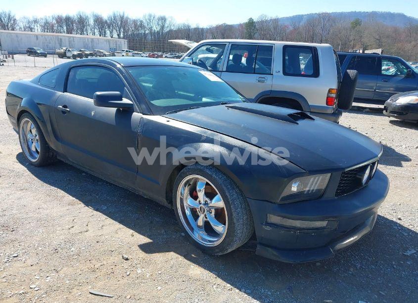 2005 Ford Mustang GT DELUXE/GT PREMIUM (VIN 1ZVFT82H255205166) main photo