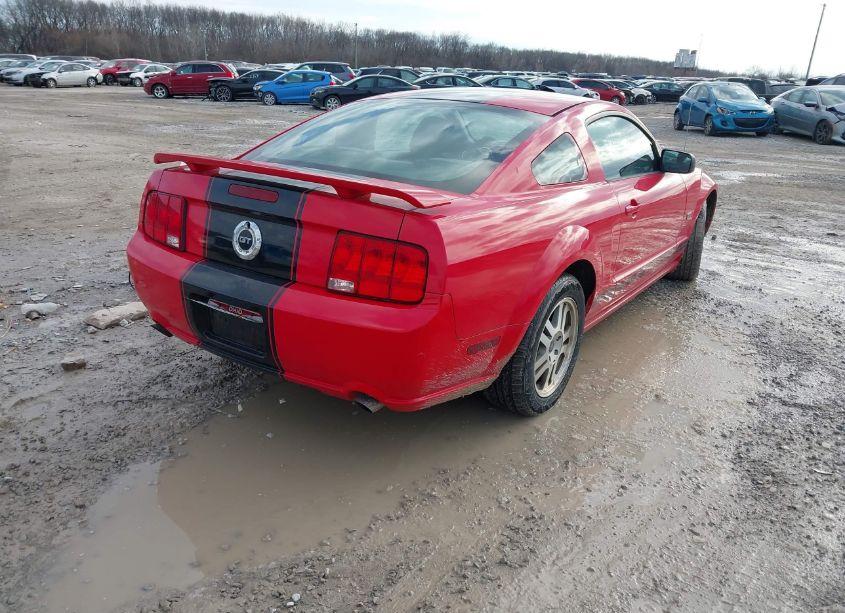 Photo 4 of 2005 Ford Mustang GT DELUXE/GT PREMIUM (VIN 1ZVFT82H255210481)