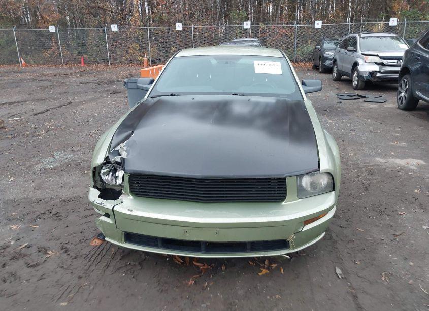 Photo 12 of 2006 Ford Mustang GT (VIN 1ZVFT82H265133841)