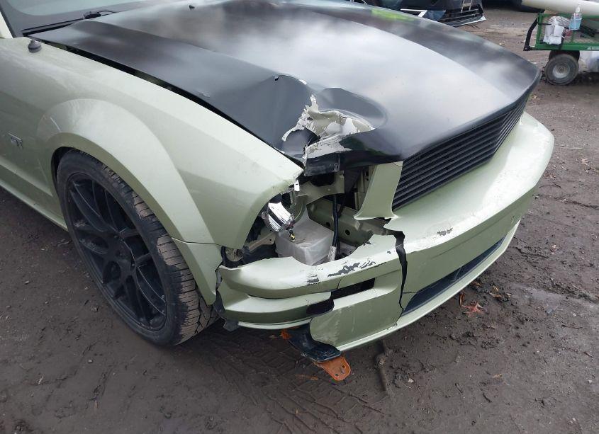 Photo 6 of 2006 Ford Mustang GT (VIN 1ZVFT82H265133841)