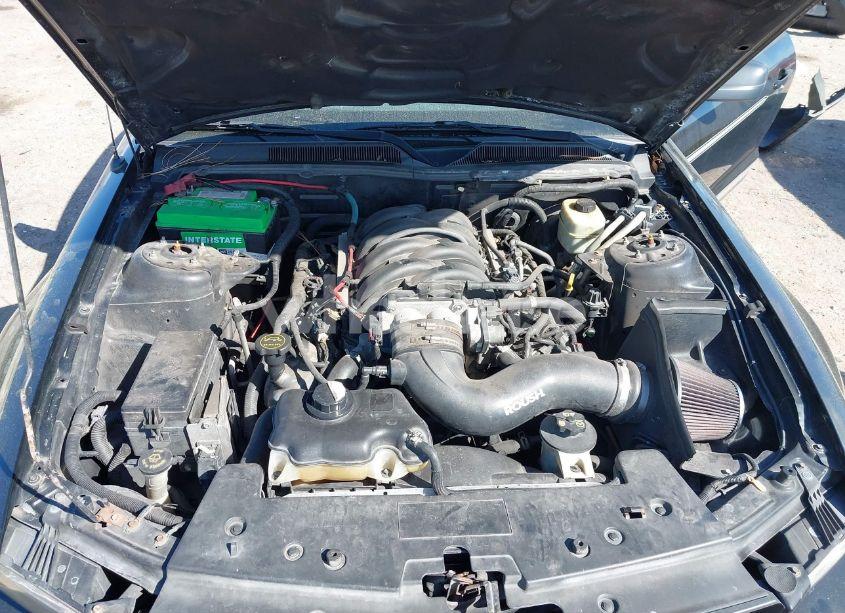 Photo 10 of 2006 Ford Mustang GT (VIN 1ZVFT82H265146024)