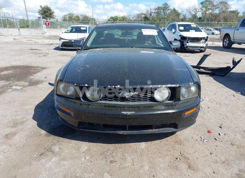 Photo 12 of 2006 Ford Mustang GT (VIN 1ZVFT82H265146024)