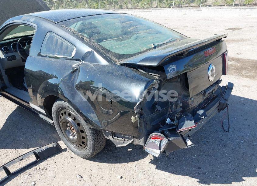 Photo 6 of 2006 Ford Mustang GT (VIN 1ZVFT82H265146024)