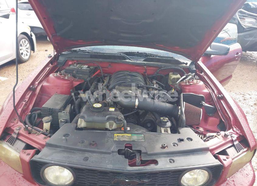 Photo 10 of 2006 Ford Mustang GT (VIN 1ZVFT82H265195370)