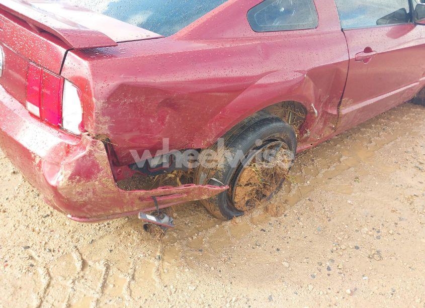 Photo 12 of 2006 Ford Mustang GT (VIN 1ZVFT82H265195370)