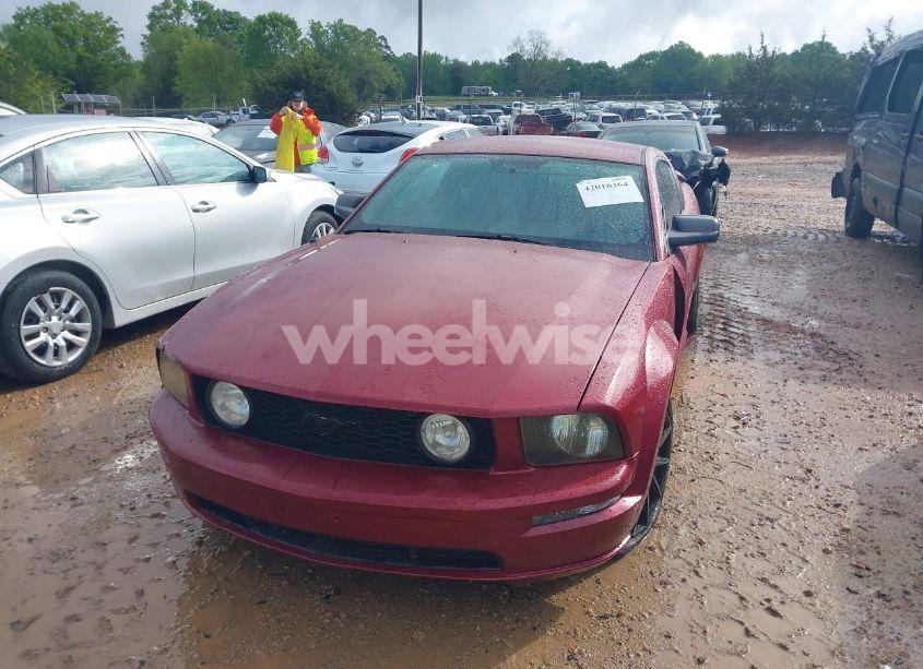 Photo 13 of 2006 Ford Mustang GT (VIN 1ZVFT82H265195370)