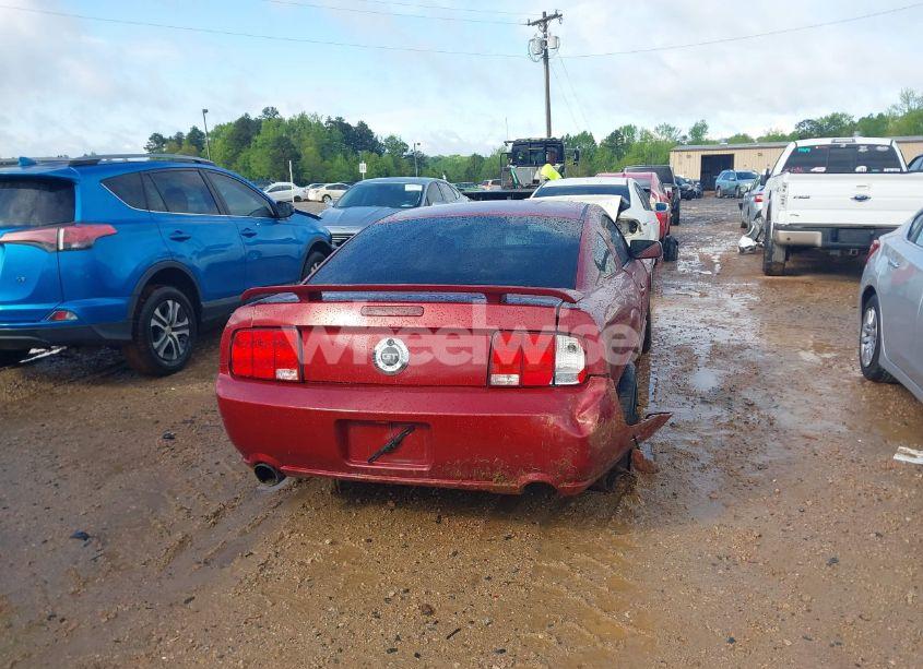 Photo 17 of 2006 Ford Mustang GT (VIN 1ZVFT82H265195370)
