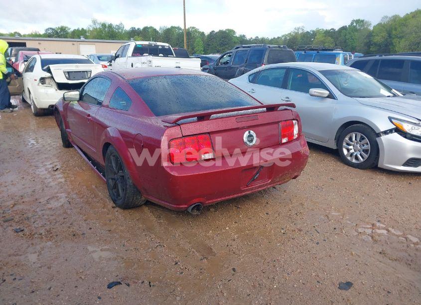 Photo 3 of 2006 Ford Mustang GT (VIN 1ZVFT82H265195370)