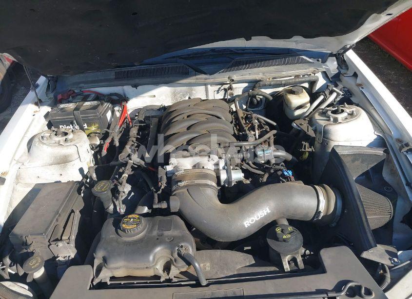 Photo 10 of 2006 Ford Mustang GT (VIN 1ZVFT82H265259598)