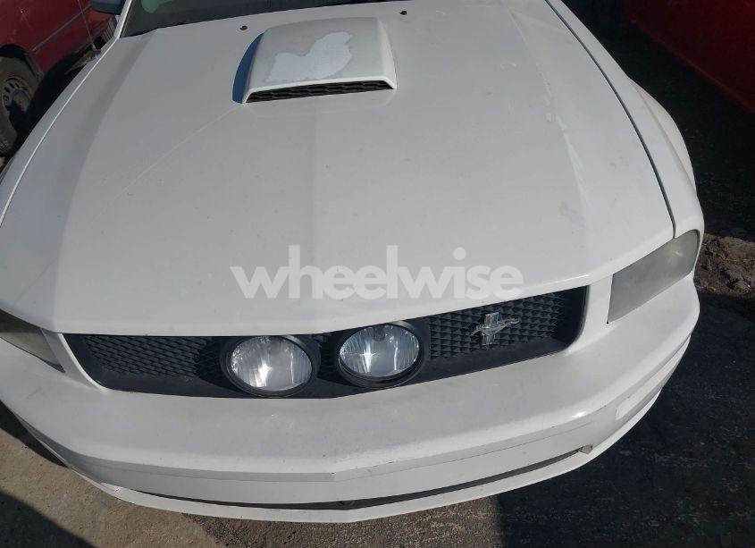 Photo 6 of 2006 Ford Mustang GT (VIN 1ZVFT82H265259598)