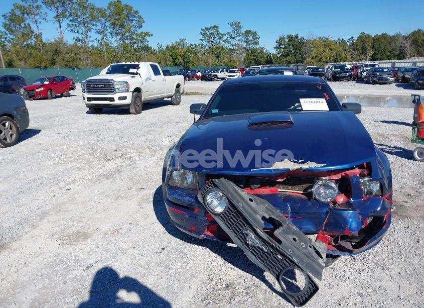 Photo 12 of 2007 Ford Mustang GT DELUXE/GT PREMIUM (VIN 1ZVFT82H275219233)