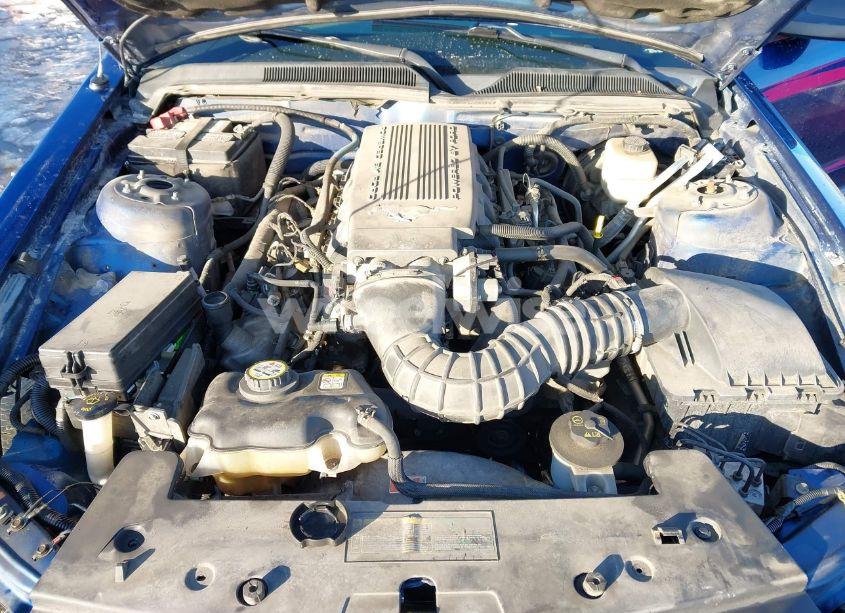 Photo 10 of 2007 Ford Mustang GT DELUXE/GT PREMIUM (VIN 1ZVFT82H275228157)