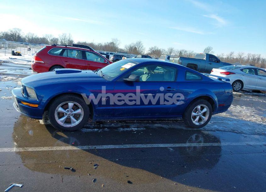Photo 14 of 2007 Ford Mustang GT DELUXE/GT PREMIUM (VIN 1ZVFT82H275228157)