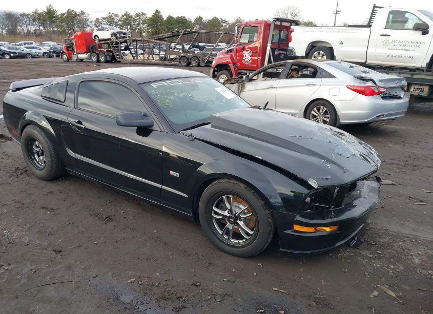 2007 Ford Mustang GT DELUXE/GT PREMIUM (VIN 1ZVFT82H275342448) main photo