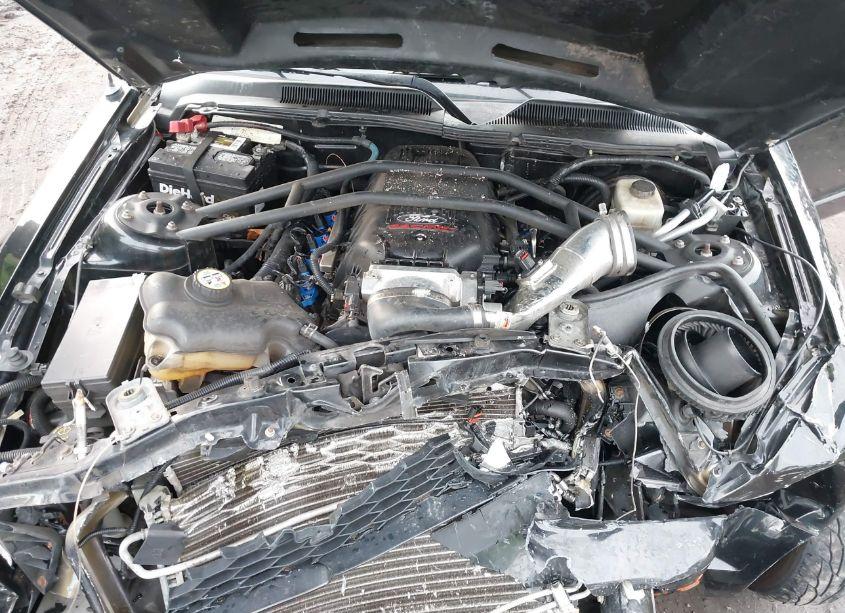 Photo 10 of 2007 Ford Mustang GT DELUXE/GT PREMIUM (VIN 1ZVFT82H275342448)