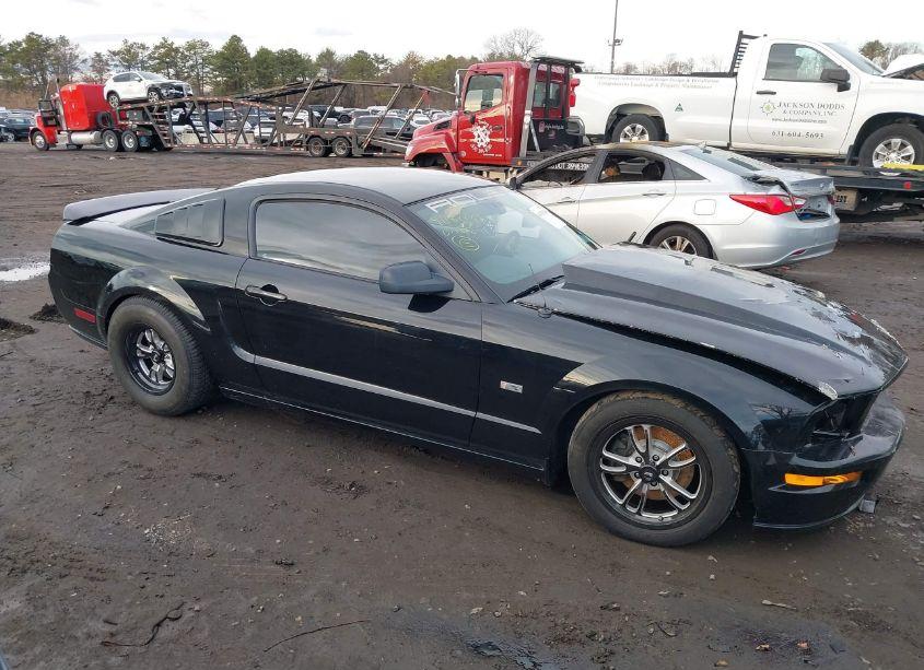 Photo 13 of 2007 Ford Mustang GT DELUXE/GT PREMIUM (VIN 1ZVFT82H275342448)