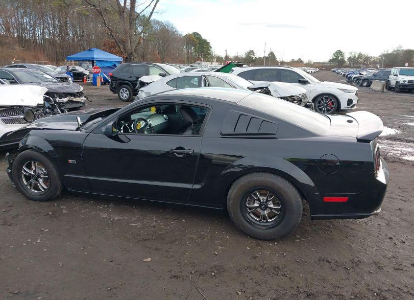 Photo 14 of 2007 Ford Mustang GT DELUXE/GT PREMIUM (VIN 1ZVFT82H275342448)