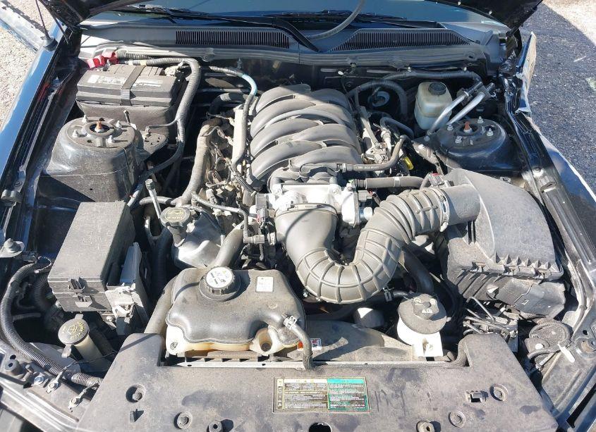 Photo 10 of 2005 Ford Mustang GT DELUXE/GT PREMIUM (VIN 1ZVFT82H355241304)