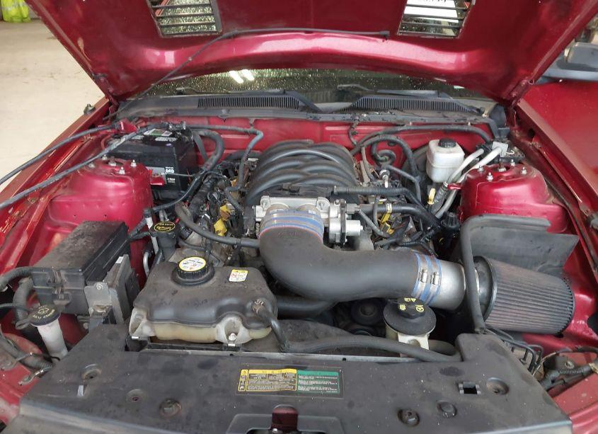 Photo 10 of 2007 Ford Mustang GT DELUXE/GT PREMIUM (VIN 1ZVFT82H375252368)