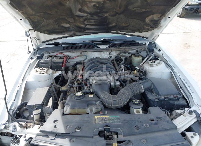 Photo 10 of 2006 Ford Mustang GT (VIN 1ZVFT82H465152018)