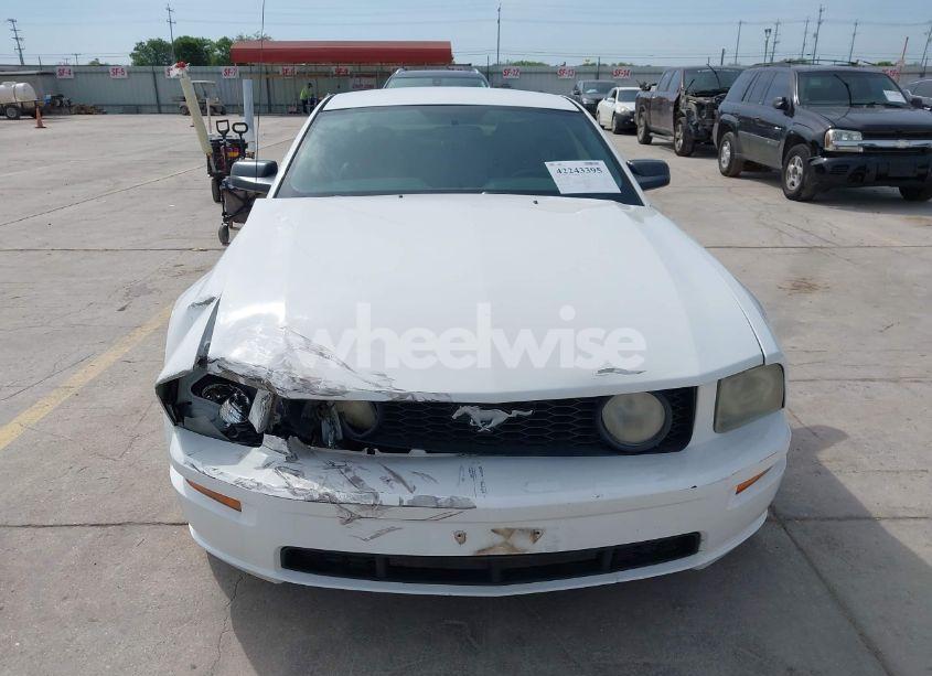 Photo 12 of 2006 Ford Mustang GT (VIN 1ZVFT82H465152018)