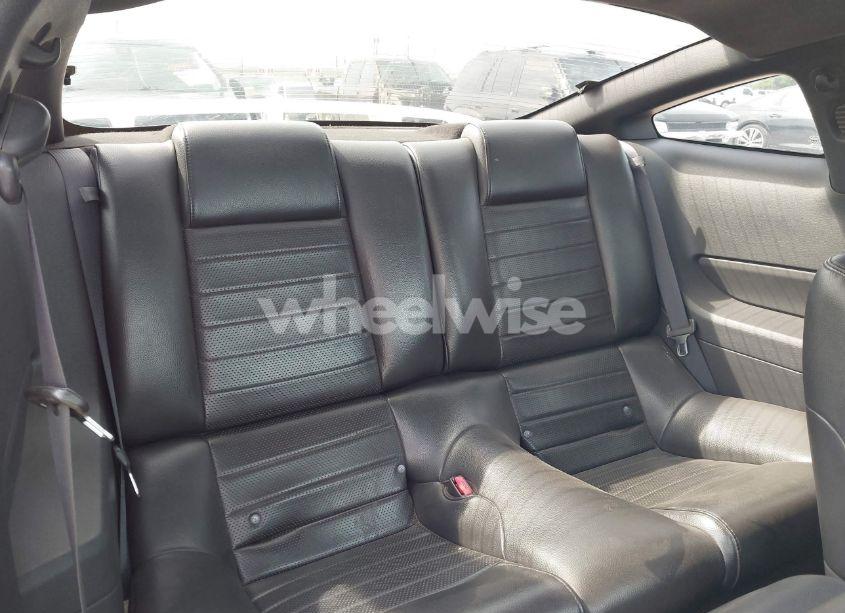 Photo 8 of 2006 Ford Mustang GT (VIN 1ZVFT82H465152018)