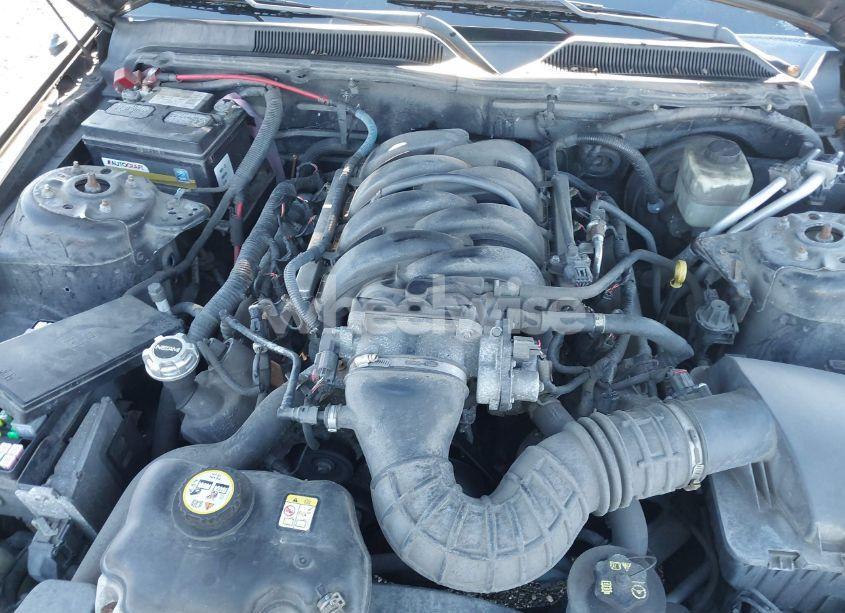 Photo 10 of 2006 Ford Mustang GT (VIN 1ZVFT82H465204053)