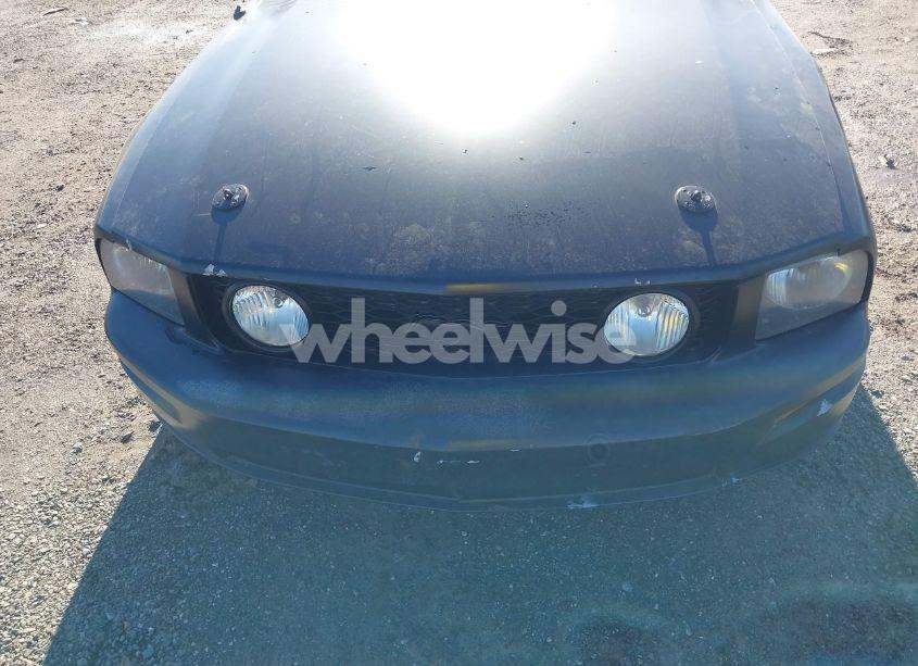 Photo 12 of 2006 Ford Mustang GT (VIN 1ZVFT82H465204053)