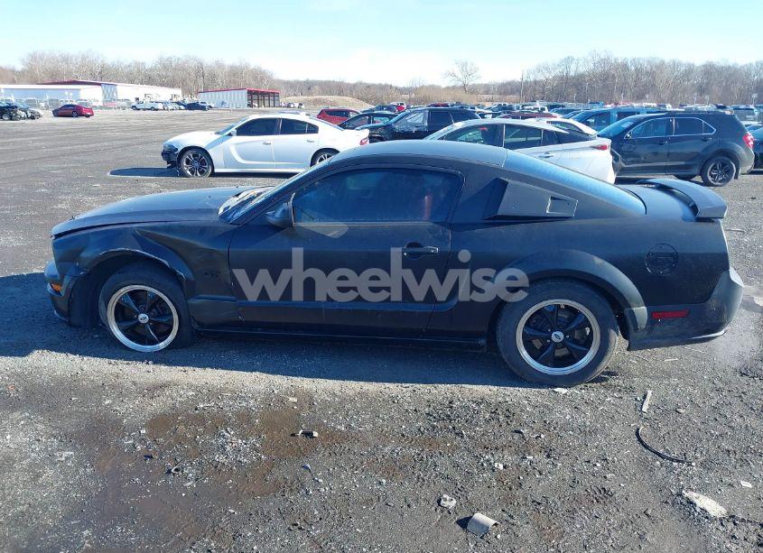 Photo 14 of 2006 Ford Mustang GT (VIN 1ZVFT82H465204053)