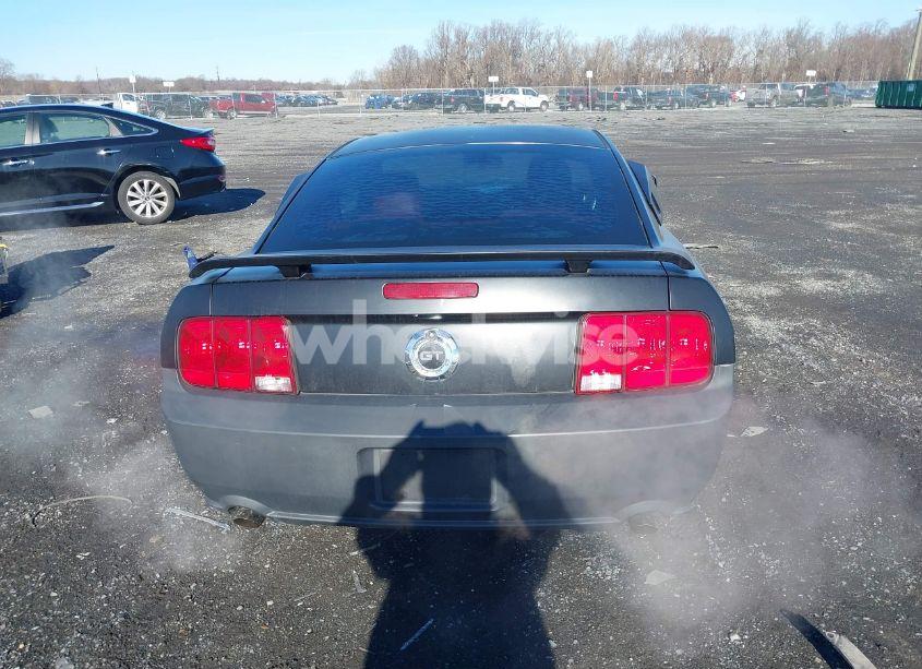Photo 16 of 2006 Ford Mustang GT (VIN 1ZVFT82H465204053)